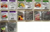 /album/ahmad1/ahmad-2-jpg/